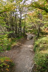 beautiful amazing patagonia nature in south america