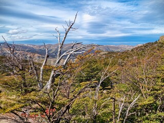 beautiful amazing patagonia nature in south america