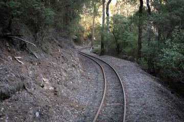 railway in the woods