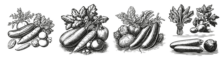 Vintage Vegetable Illustrations for Farm and Garden Themes, Logo Design, Hand drawing Engraving, Vector Illustration Isolated Object
