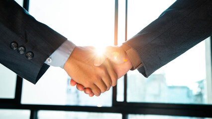 Trusted partner. Businessmen making handshake with partner, greeting, dealing, merger and...