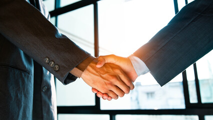 Trusted partner. Businessmen making handshake with partner, greeting, dealing, merger and...