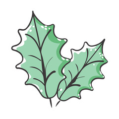 holly leaves icon, holly leaves vector illustration-simple illustration of holly leaves, perfect for holly leaves logos and icons