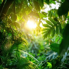 Obraz premium A vibrant tropical rainforest view where morning sunlight filters through thick vegetation, ,Types of Morning Tent Views