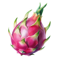 Dragon fruit tropical fruit pink green fresh isolated healthy juicy exotic sweet