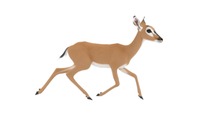 Graceful deer running in nature animated wildlife scene