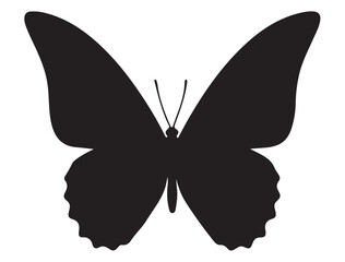 BUTTERFLY SILHOUETTE