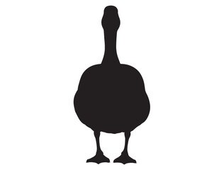 CANADA GOOSE SILHOUETTE