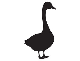 CANADA GOOSE SILHOUETTE
