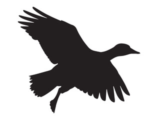 CANADA GOOSE SILHOUETTE