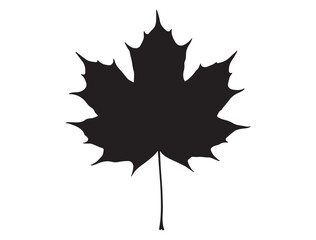 CANADA MAPLE LEAF SILHOUETTE