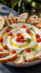 White bean dip with tomatoes, olive oil, basil and bread on textured gray plate