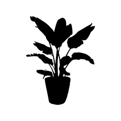 Houseplant silhouette. Potted plant isolated on white. tropical plants. trendy home decor with indoor plants, planters, tropical leaves.