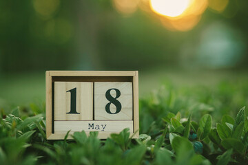 18 May, International Museum Day, wooden calendar blocks outdoors in green grass, showing the date 18th May with copy space, World AIDS Vaccine Day, World Goodwill Day, No Dirty Dishes Day
