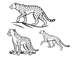 Cheetah Icons set vector illustration