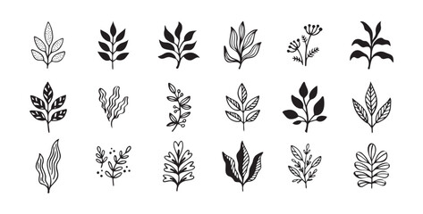 Hand drawn outline doodle floral elements leaf set. Plant leaves vector design
