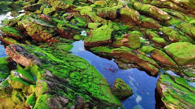Roches de mousse verte et eau turquoise - Contrastes min&eacute;raux en gros plan (16:9) Palette min&eacute;rale - C&ocirc;te sauvage en gros plan Hendaye 