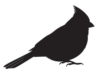 CARDINAL BIRD SILHOUETTE