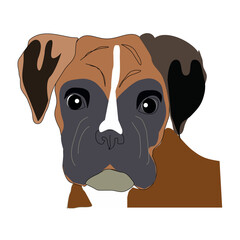 english bulldog portrait vector illustration on white background