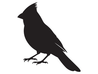 CARDINAL BIRD SILHOUETTE
