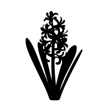recommend clip art: hyacinth 2.svg Black Silhouette SVG Vector Illustration