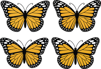 Obraz premium Butterfly Vector vector illustration