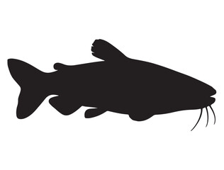 CATFISH SILHOUETTE WHITE BACKGROUND