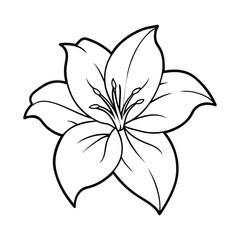  Stunning Amaryllis Flower Line Art &ndash; Black and White Amaryllis Illustration for Coloring Book and Decorative Design
