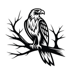 Silhouette Hawk Perched on Branch, Detailed Black and White Bird Art