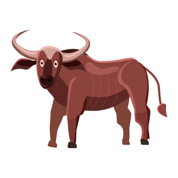 Buffalo African animal, wild big oxr. Vector illustration cartoon style