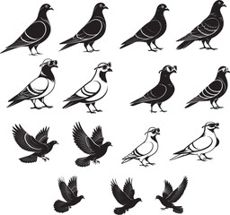 Pigeon Vector file 