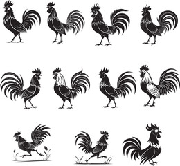 rooster and hen