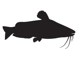 CATFISH SILHOUETTE WHITE BACKGROUND