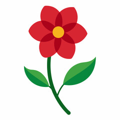 red flower isolated on white