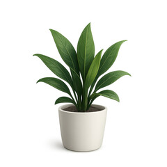 Indoor plant in minimalist pot, vibrant green leaves, adds freshness to home decor, ideal for enhancing indoor spaces. Isolated on white background or PNG