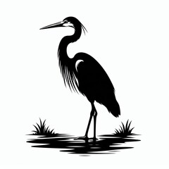 Obraz premium Birds Silhouette&nbsp;Vector