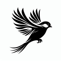 Obraz premium Wildlife Birds Silhouette