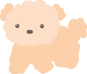 강아지_비숑 (일러스트)