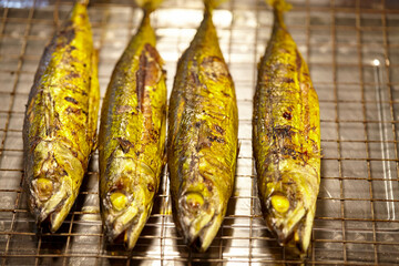 grilled Mackerel fish on a barbecue grill