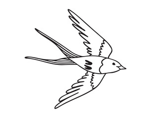 swallow bird flying doodle hand drawn icon. Outline drawing swallow bird flying line clipart symbol