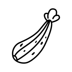 Minimal Icon Set of Zucchini Squash for Vegan Recipes and Fresh Summer Cooking