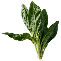 Vibrant spinach leaves in crisp cutout style on transparent background transparent background...