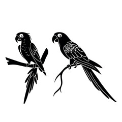 Obraz premium Black Parrot Silhouettes on Branch - Minimalist Vector Illustration
