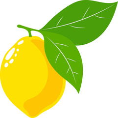 Fresh yellow lemon with green leaves hanging on a branch, symbolizing summer fruits and vibrant flavors in agriculture