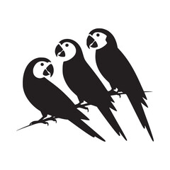 Black Parrot Silhouettes on Branch - Minimalist Vector Illustration