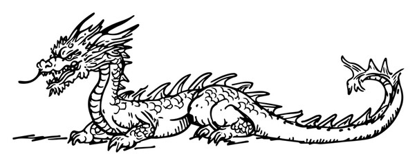 chinese dragon sketch illustration