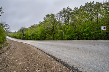 Road sky landscape in forest. Nature tree. Rural path summer.