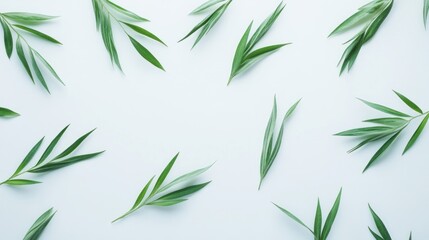 Obraz premium Fresh green leaves arranged on a light background