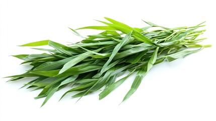 Fototapeta premium Fresh bunch of vibrant green grass-like leaves