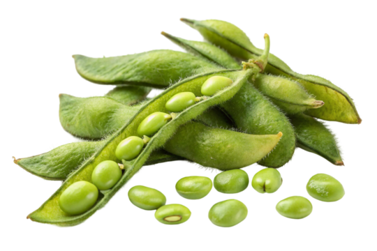 A fresh green pod with ripe peas, a healthy vegetarian food, isolated in a closeup macro view against a white background